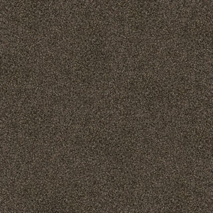 Hilton - 100% Solution Dyed Nylon - Flooring Direct 