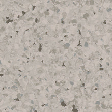 Load image into Gallery viewer, Tarkett Primo Premium - Commercial Vinyl - Flooring Direct Greenlane
