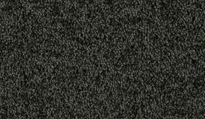 Enchant 48oz  - 100% Wool - Flooring Direct Greenlane