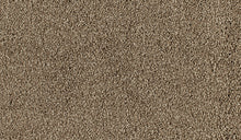 Load image into Gallery viewer, Favourites - Solution Dyed Nylon - Flooring Direct Greenlane
