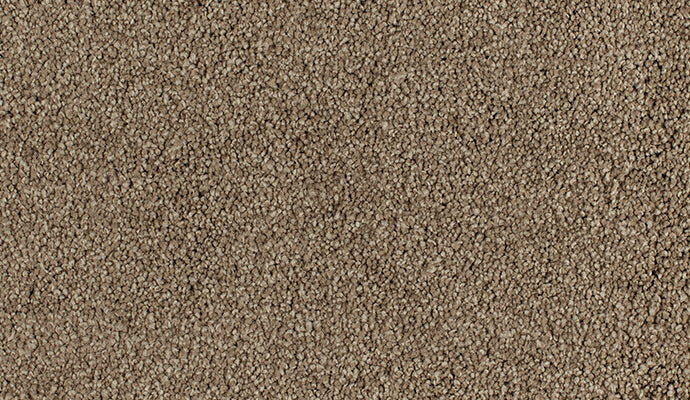 Favourites - Solution Dyed Nylon - Flooring Direct Greenlane