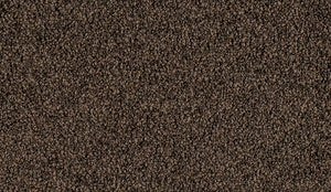 Favourites - Solution Dyed Nylon - Flooring Direct Greenlane