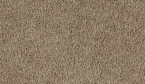 Favourites - Solution Dyed Nylon - Flooring Direct Greenlane