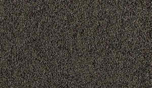 Favourites - Solution Dyed Nylon - Flooring Direct Greenlane
