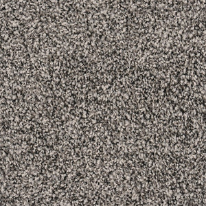 Sandstone - 100% Solution Dyed Nylon - Flooring Direct Greenlane