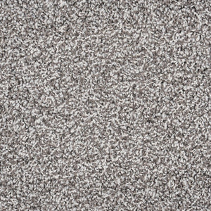 Sandstone - 100% Solution Dyed Nylon - Flooring Direct Greenlane