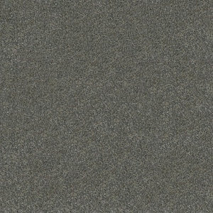 Westminster - 100% Solution Dyed Nylon - Flooring Direct Greenlane