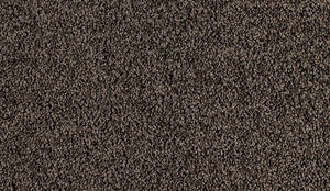 Alabama - 100% Solution Dyed Nylon - Flooring Direct - Flooring Direct Greenlane